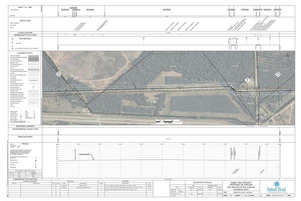 1657-PL-DG-70197-117, STA. 6132+00 TO STA. 6185+00, MP 116.14, MP 117, MP 117.14, CR-129 (BEN WILLIAMS ROAD), KINDER MORGAN PIPELINES, PIPELINE FACILITY, (BEN WILLIAMS ROAD), WEBSTER COUNTY, GEORGIA