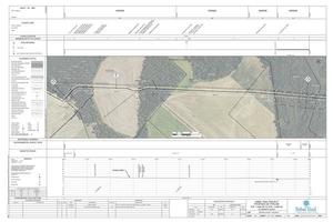 [1657-PL-DG-70197-219, STA. 11446+00 TO STA. 11499+00, MP 217, MP 217.78, KINDER MORGAN PIPELINE, BROOKS COUNTY, GEORGIA, 30.940617, -83.612677]