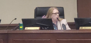 [Movie: 8. Reports - County Manager (608M)]