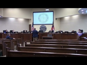 [8. Reports - County Manager - Long Term Recovery - Ashley Tye]