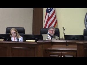 [Chairman Adds Agenda item 5j - Appointment to Community Service Board]